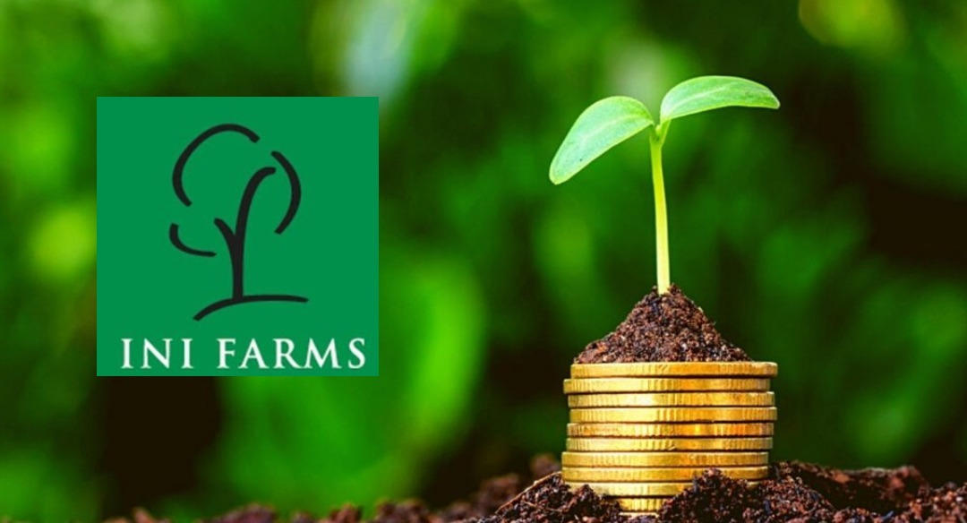 Horticulture startup INI Farms raised $1.95 million from Aavishkaar Capital’s ESG First Fund