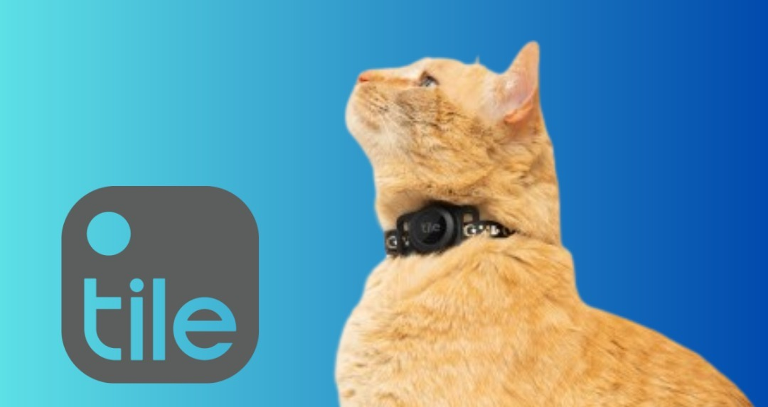 Tile launches new cat-tracking tag to help find furry friends