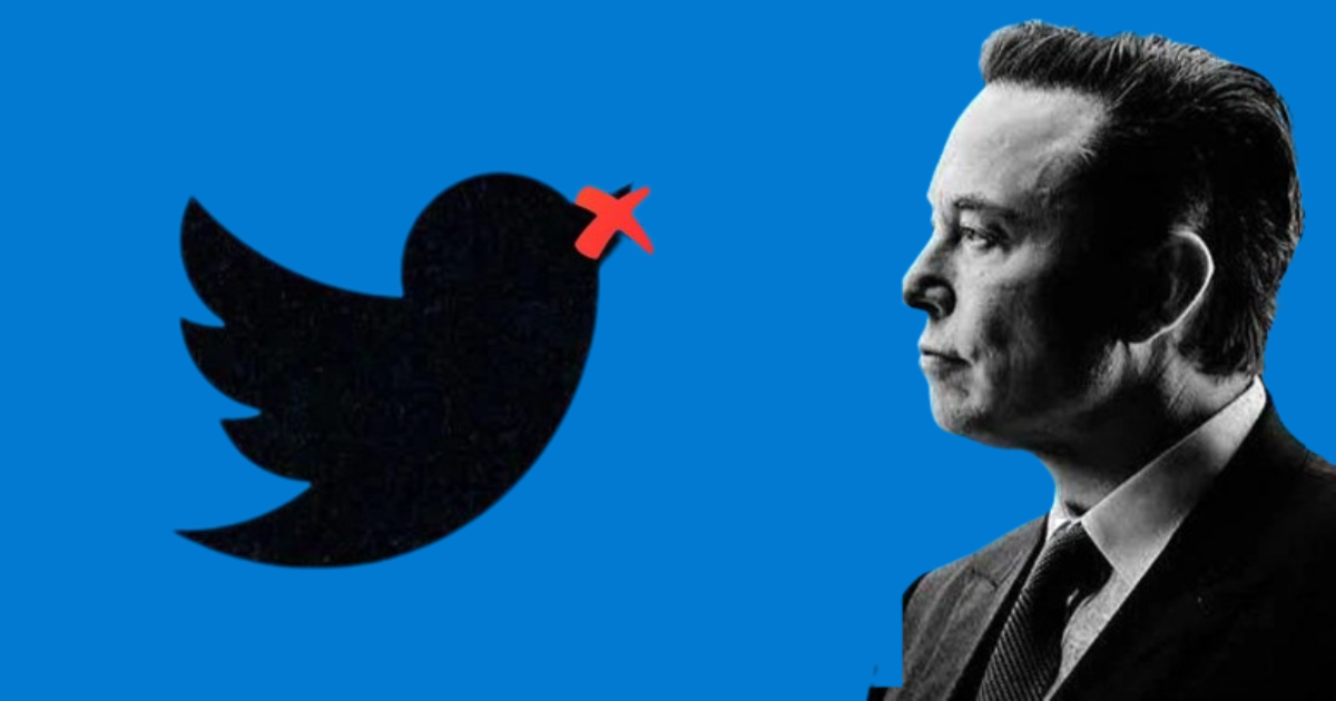 Twitter to purge inactive accounts : Elon Musk