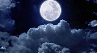 full moon november 2025