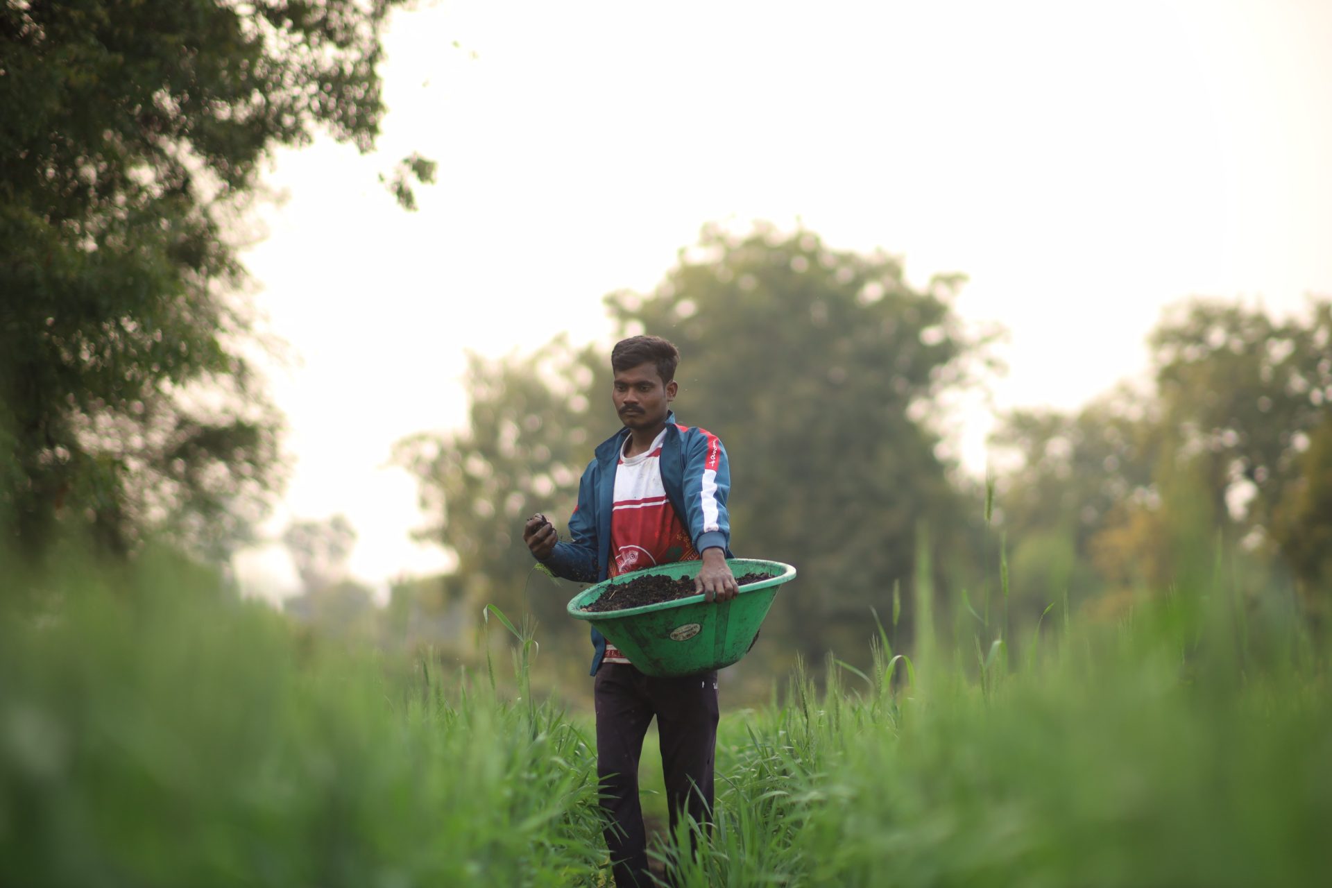 Varaha Signs Carbon Removal Agreement with Microsoft 