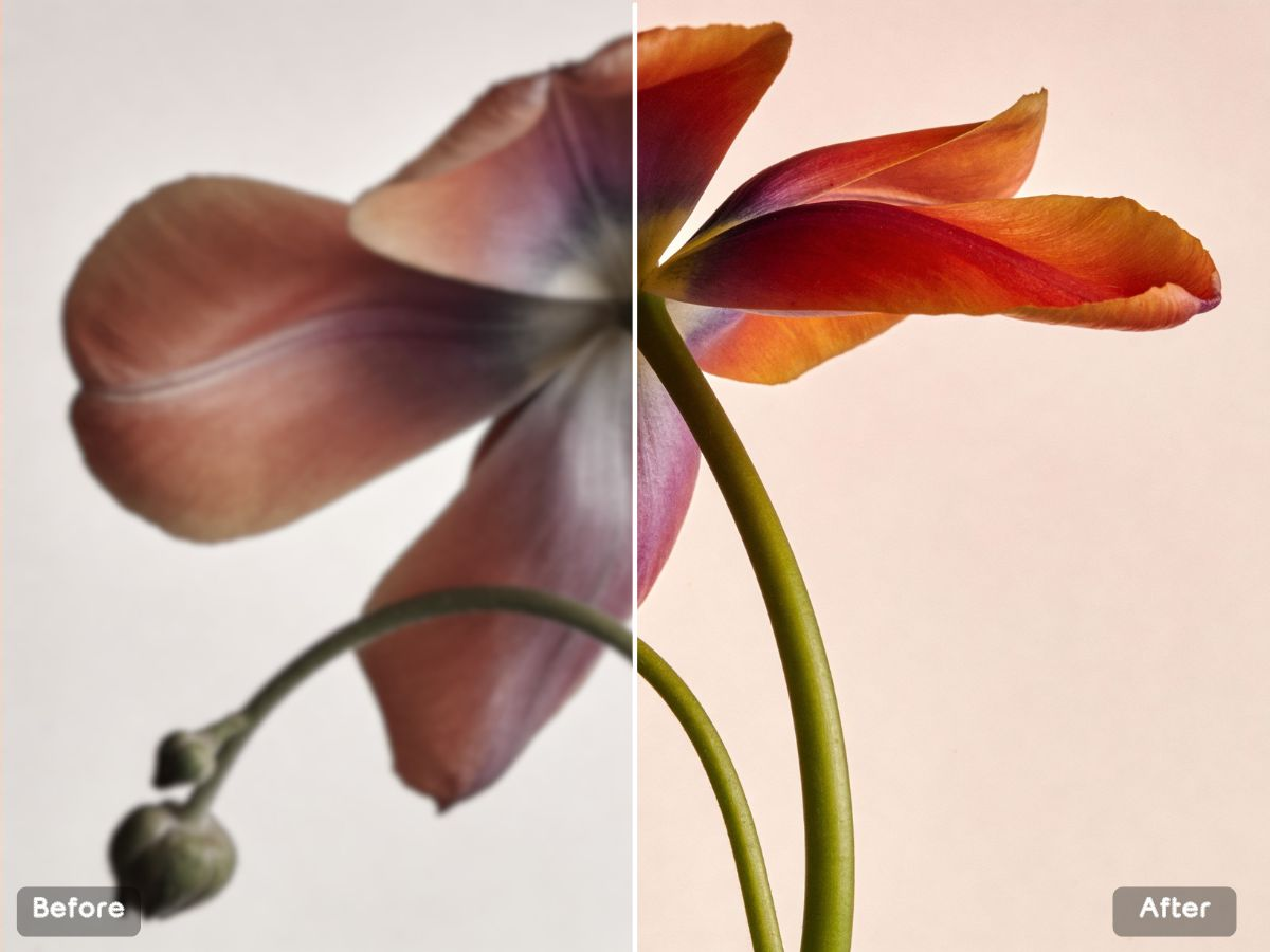 Best Free 2026 Fix for “Almost-Good” Images