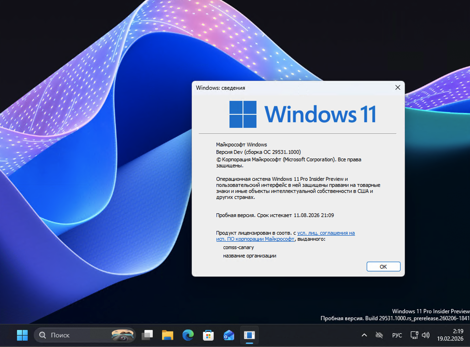 Microsoft Releases Windows 11 Canary Build 29531
